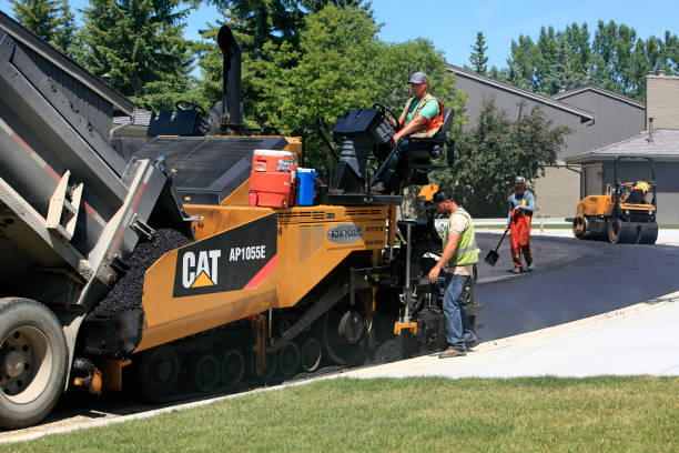 Best Driveway Paver Repairs and Restoration in Salem, UT